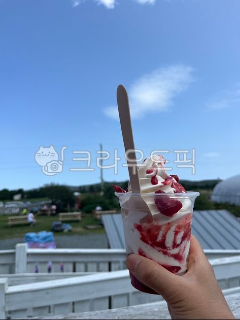 아이스크림,선데이아이스크림,딸기아이스크림,알스크림,디저트,icecream,sundaeicecream,strawberryicecream,dessert,cupicecream