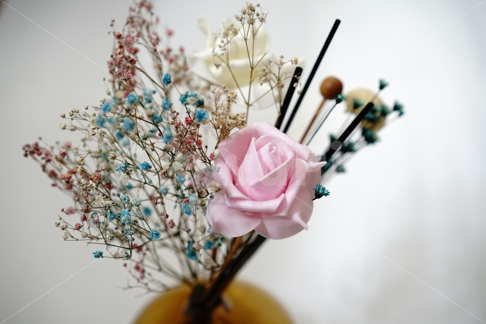 장미,장식,데코레이션,플라워,꽃,데코,느낌,감성,인테리어,소품,감성충만,감성샷,색감,컬러,컬러풀,식물,자연,plants,nature,꽃,flower,인테리어,실내디자인,interior design