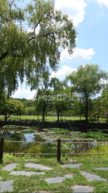 연못,나무,공원,하늘,구름,pond,tree,자연,풍경,nature,landscape,land,땅,outdoors,옥외,water,물,plant,식물