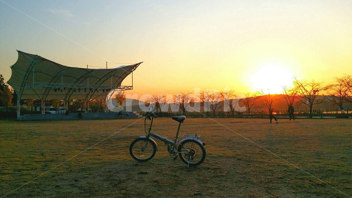 transportation,교통,bicycle,wheel,차량,vehicle,자전거,bike,바퀴,machine,사이클,노을,석양,야외,공원,풍경,나무,잔디,들판
