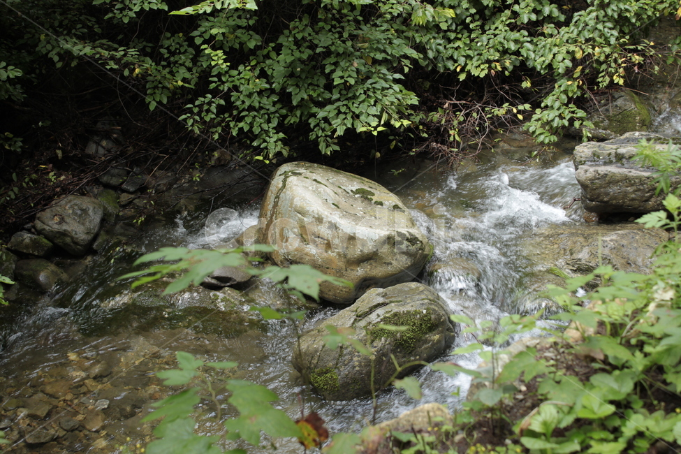 자연,여름,계곡,바위,숲,시원함,자연,풍경,nature,landscape,water,물,outdoors,옥외,stream,흐름,creek,작은 만