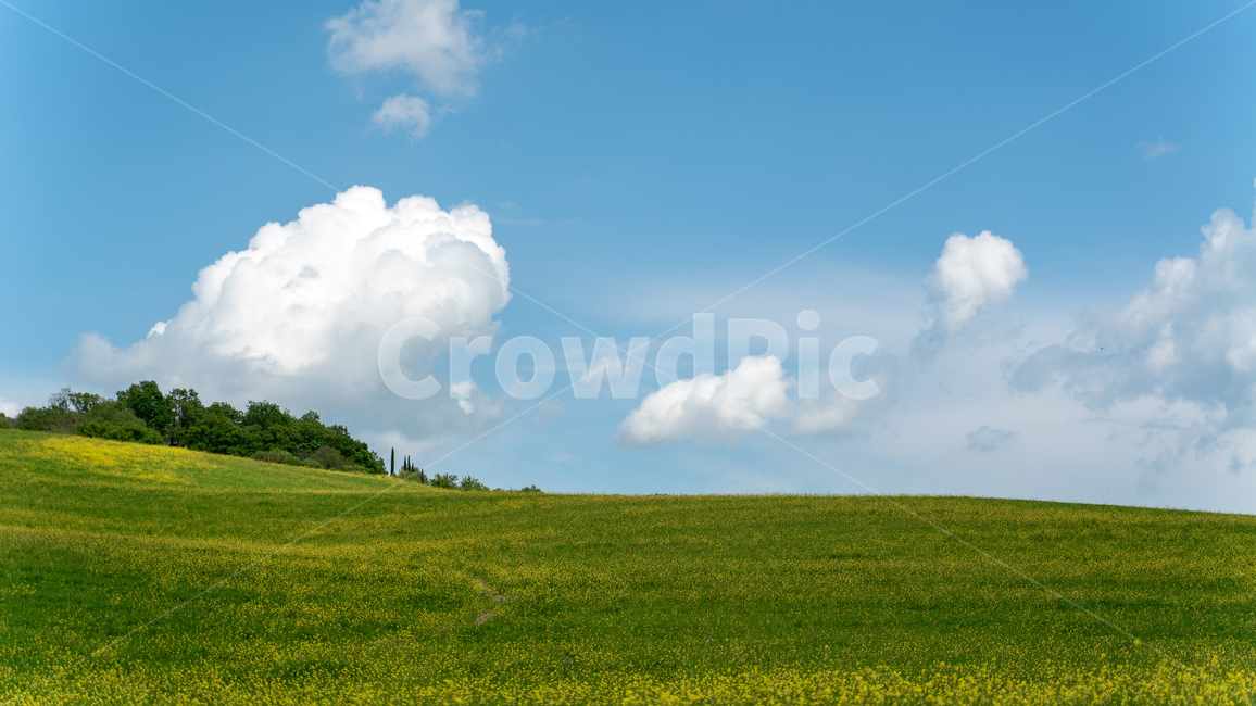 이탈리아,토스카나,투스카니,toscana,tuscany,하늘,구름,들판,파란,푸른,sky,풍경,배경화면,바탕화면,자연