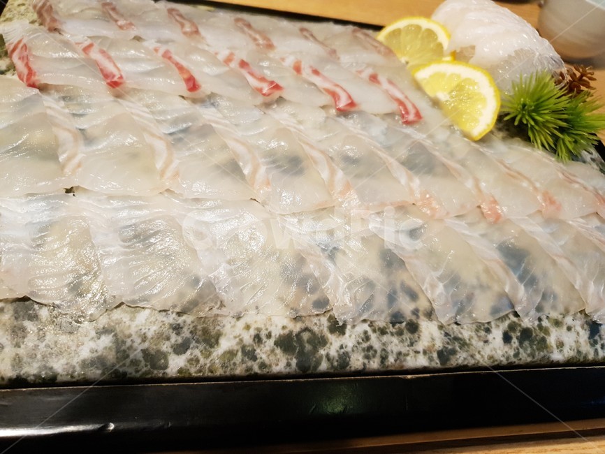 food,해양생물,해물,seafood,sealife,음식,식재료,요리,food,cook,meal,dishes,food reserves,수산물,해산물,fishery products,seafood