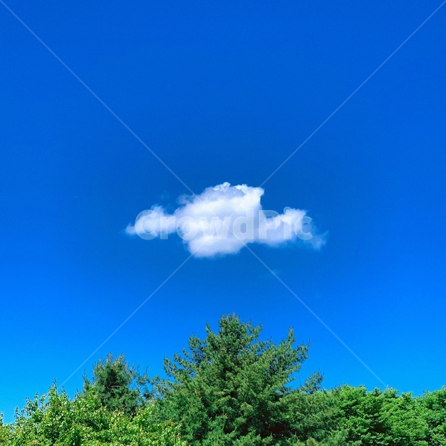 사탕,구름,하늘,산,학교,자연,nature