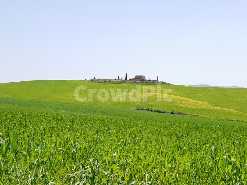 풍경,이탈리아,토스카나,배경,소도시,봄,자연,풍경,nature,landscape,field,들,grassland,목초지,outdoors,옥외
