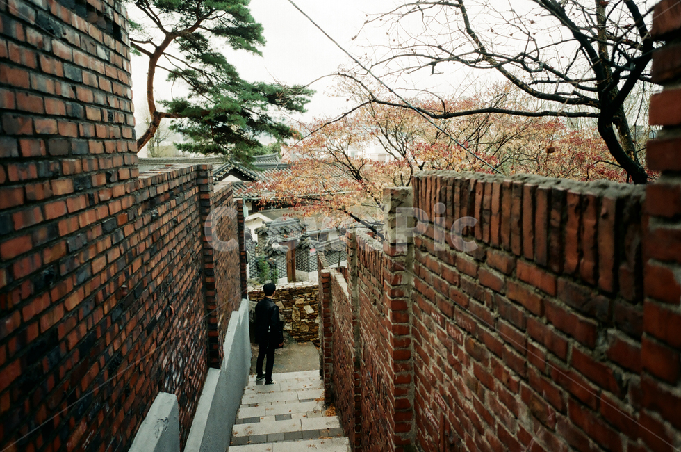 낙산공원,서울,혜화,벽돌,필름카메라,seoul,film,camera,red,도시,풍경,city,landscape,한국도시풍경,한국도시경관,korea cityscape,골목길,alley,walkway,보도,path,통로,brick