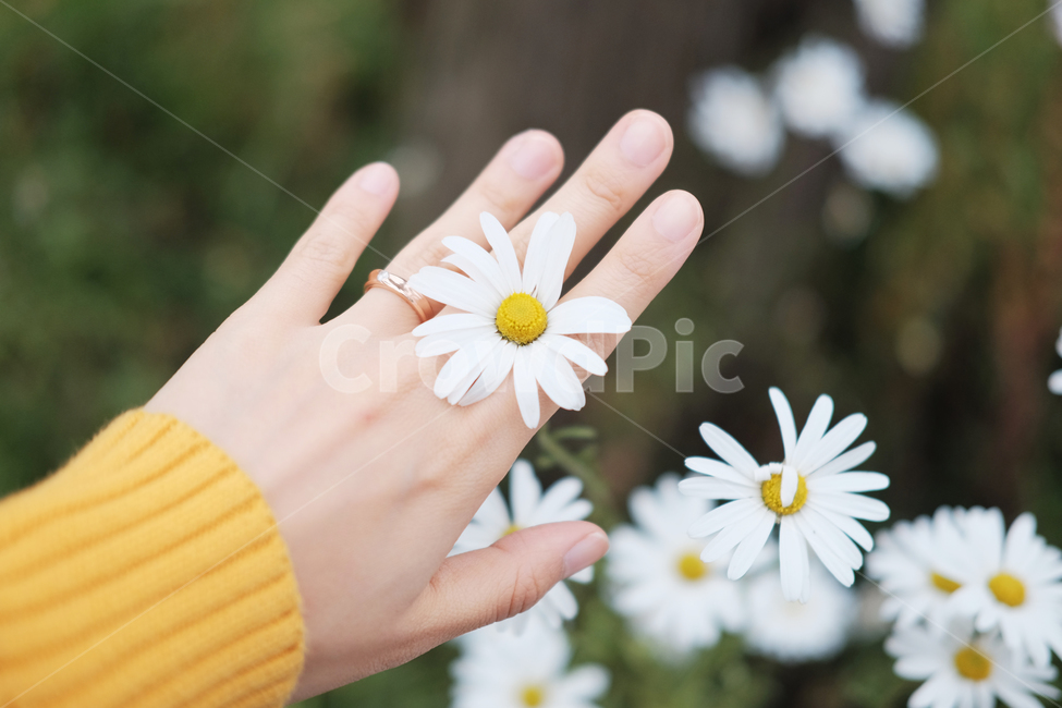 반지,꽃반지,약속,사랑,꽃,자연,풀,숲,산,풀잎,꽃잎,손,hand,nature,식물,자연,plants,nature,꽃,flower,감성,sensible,feeling