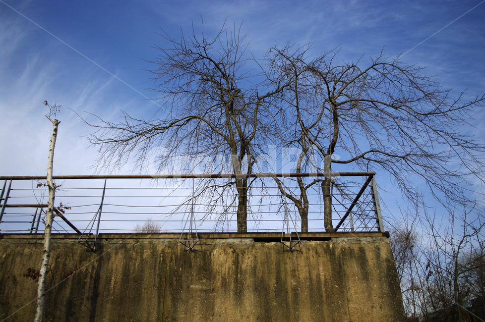 겨울,나무,식물,plant,하늘,구름,자연,풍경,nature,landscape,handrail,난간,banister
