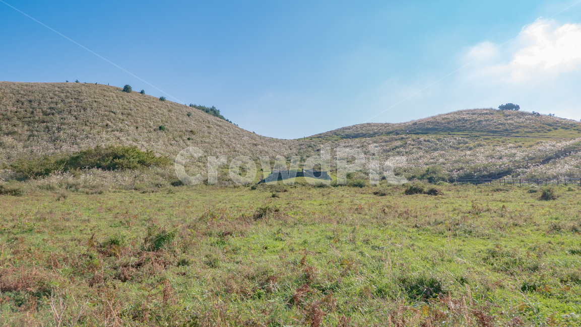 outdoors,옥외,nature,자연,grassland,목초지,field,들,용눈이,용눈이오름,오름,orum,jeju,제주,제주도,제주오름,가을,자연,풍경,nature,landscape