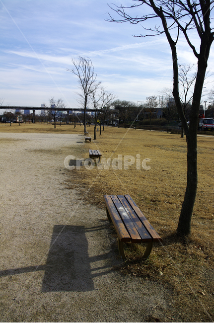 하늘,구름,풍경,공원,겨울,나무,겨울,계절,winter,season