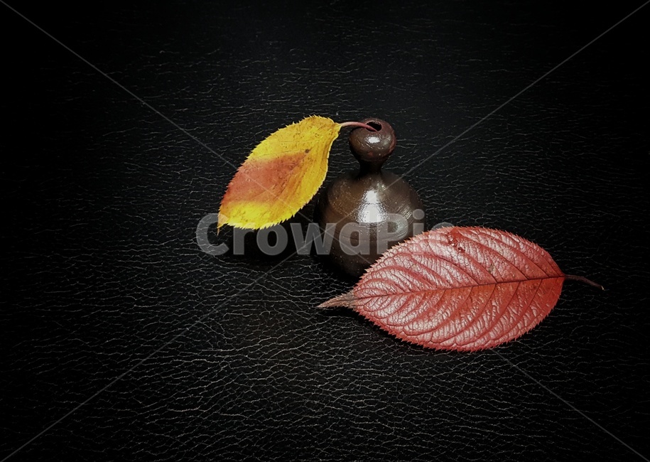낙엽,도자기,옹기,가을,계절,자연,fall,nature,season,감성,feeling,소품옹기,항아리,한국,전통,색상,칼라,color,korean,사물,물건,object,사물,물건,오브젝트,thing,object,matter,연출,컨셉,콘셉,direction,concept