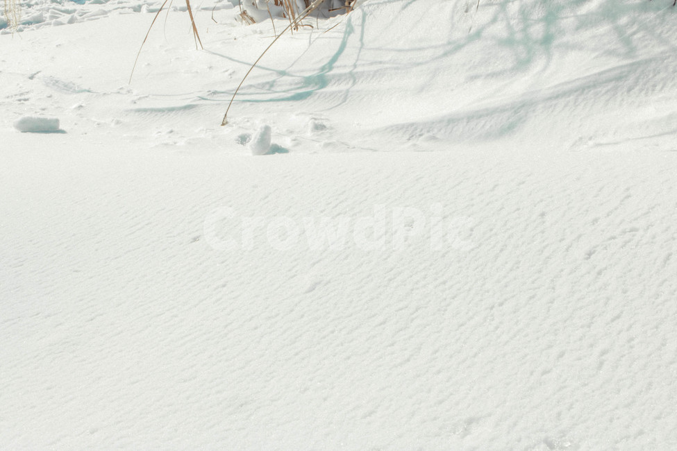 눈,겨울,눈밭,발자국,중산간,겨울,계절,winter,season