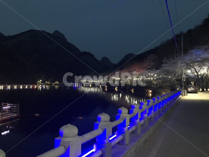 마이산,밤,벚꽃,풍경,시골