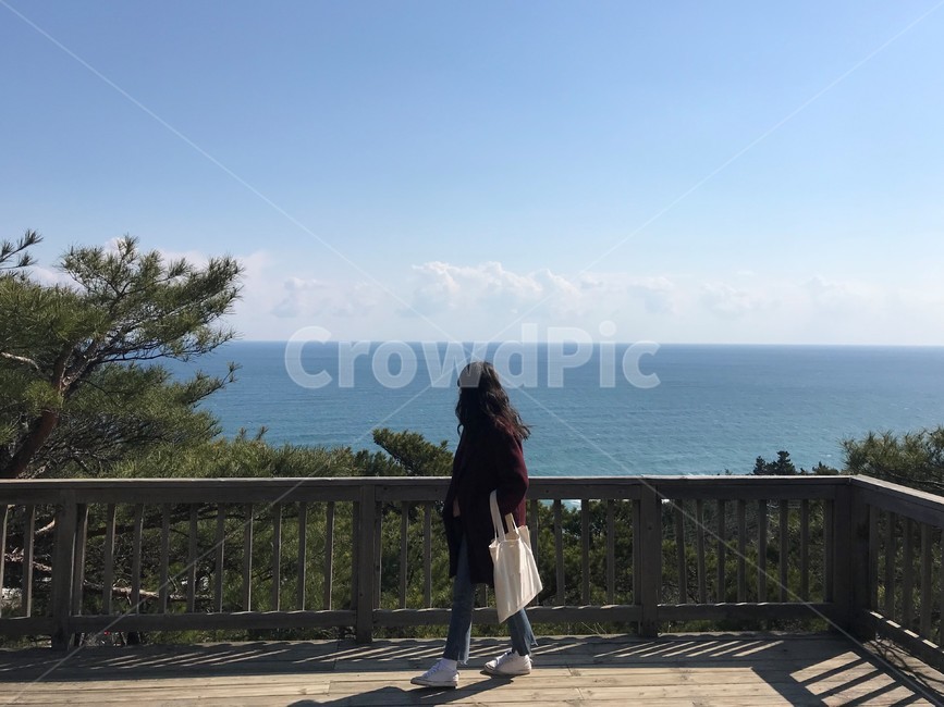 바다,정동진,풍경,인물,여자,사람,인물,인간,human,person,여성,여자,woman,female,lady