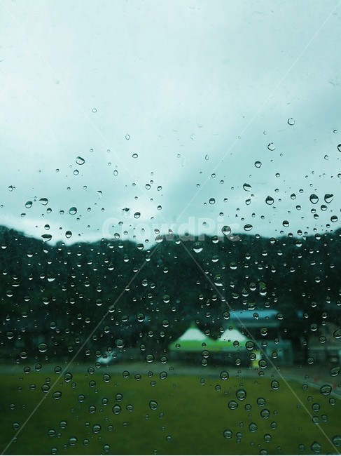 물방울,비,풀밭,산,자연,흐린,창문,비,비오는날,rain,rainy