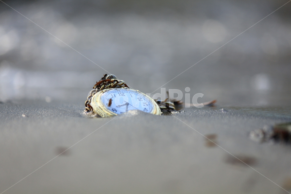 감성,그리움,추억,바닷가,해변,사물,물건,오브젝트,thing,object,matter