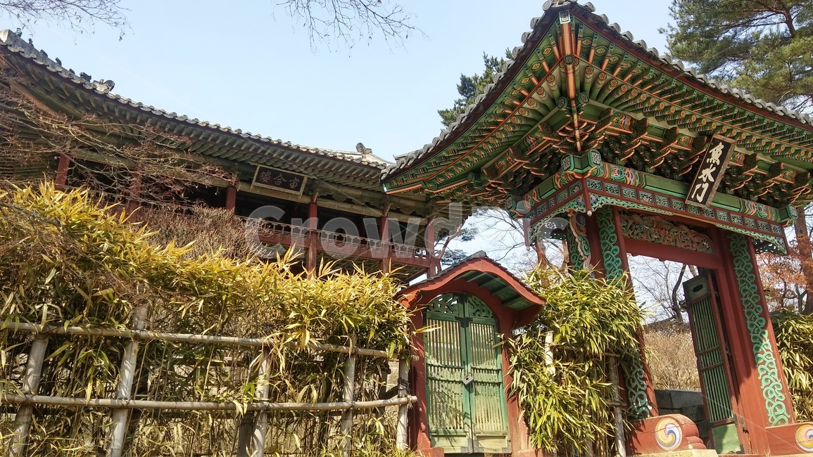 창경궁,한국,고궁,풍경,색감,한국전통,한국문화,korean traditional,korean culture,랜드마크,landmark,tourist attraction,한국랜드마크,한국관광지,한국명소,korea landmark,korea tourist attraction,건축물,건물외관,exterior,building,structure,architecture,construction