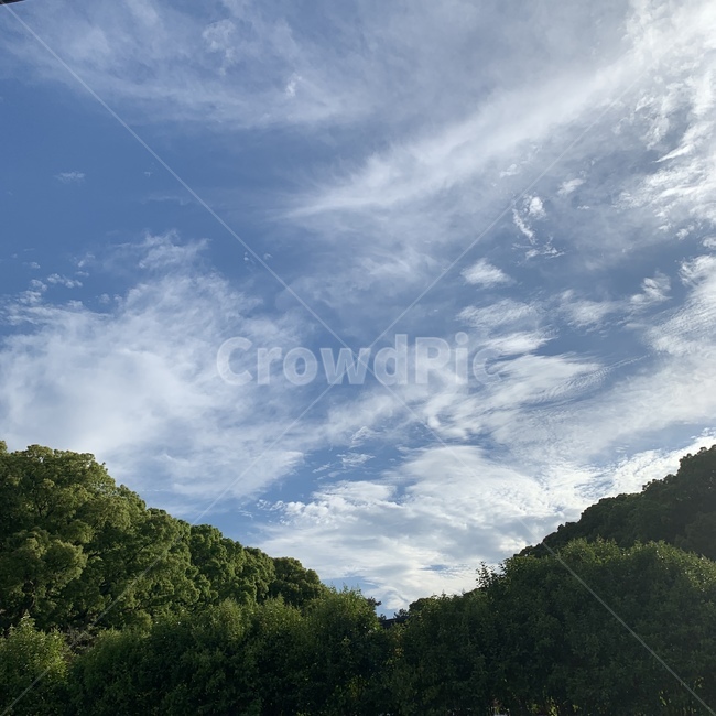 하늘,나무,구름,뭉게구름,해,산,자연