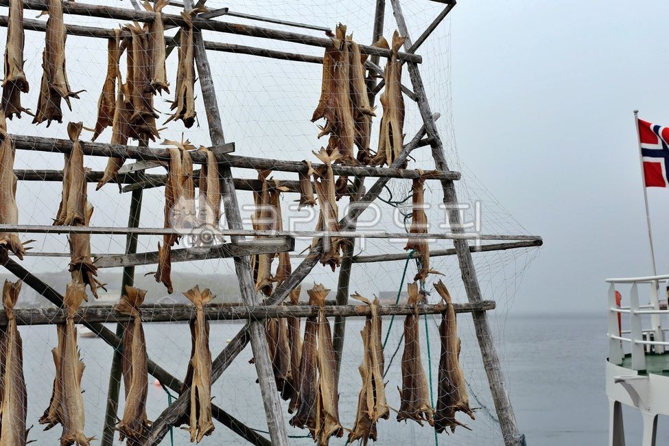 Nordic landscape,norwegiandriedcod,norwayarticcod,dried fish,scandinavia,Norway,norway,driedcod,cod,Norwegian dried fish,Norwegian,Norwegian cod