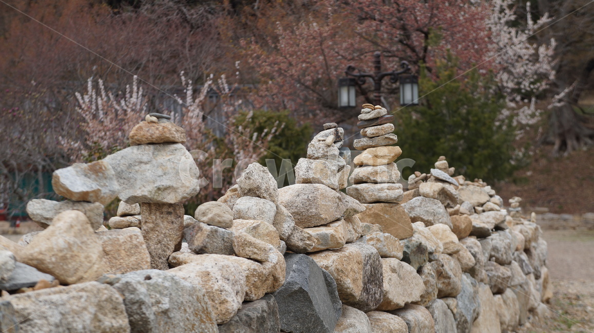 벚꽃,산,풍경,돌담,기와지붕,나무,절