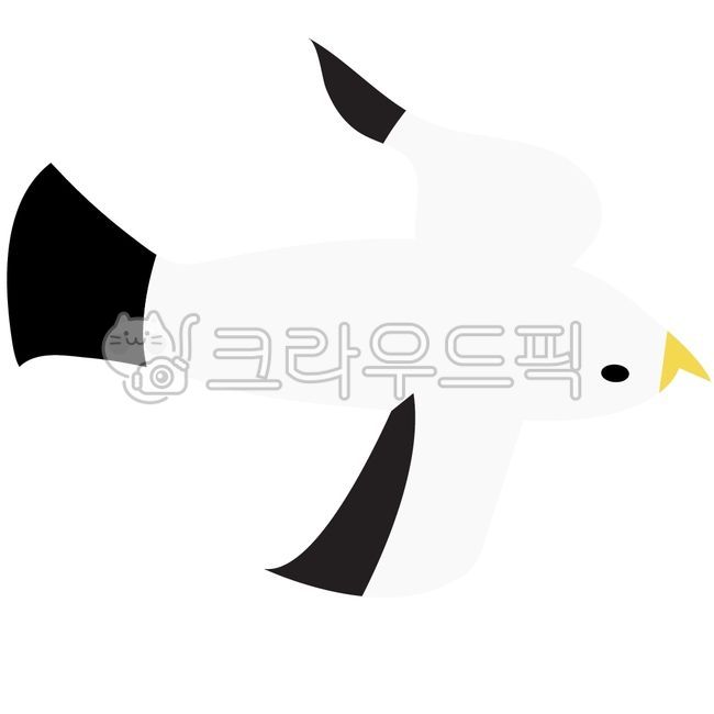 갈매기,바다갈매기,귀여운갈매기,갈매기캐릭터,갈매기일러스트,괭이갈매기,독도갈매기,갈매기바다,독도갈매기그림,괭이갈매기그림,갈매기삽화