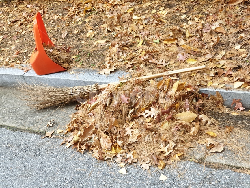 가을,낙엽,빗자루,낙엽쓸기,나뭇잎,봉사,fall,witch,leef,grass,plant,fire