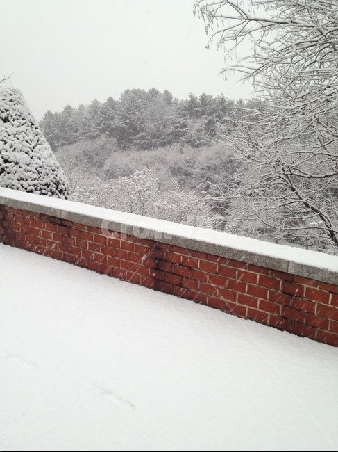 눈,snow,겨울,winter,나무,벽돌,산,눈밭