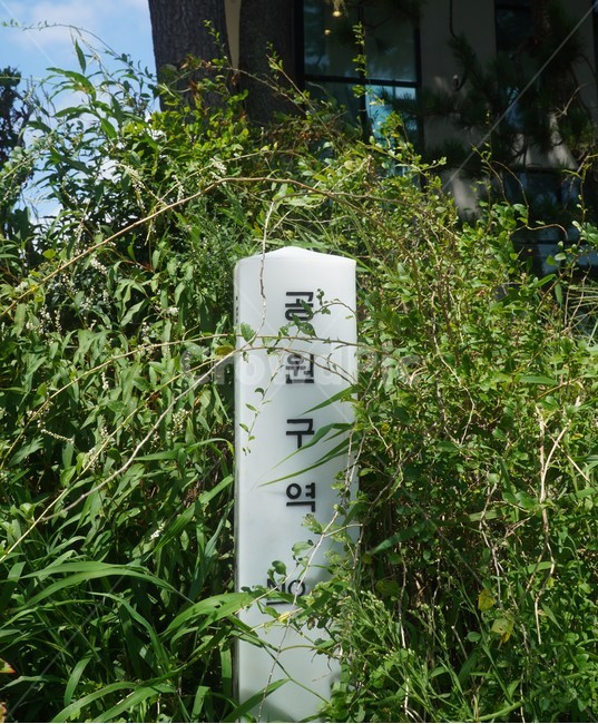 풀,잔디,grass,표지판,notice,sign,green