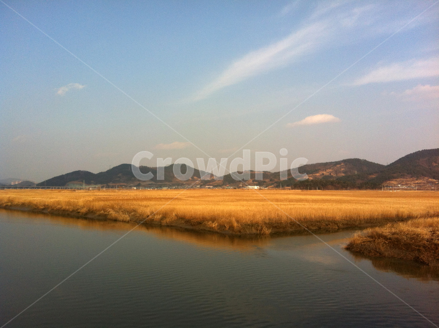 호수,lake,갈대,가을,자연,nature,풍경,landscape,구름,하늘,sky
