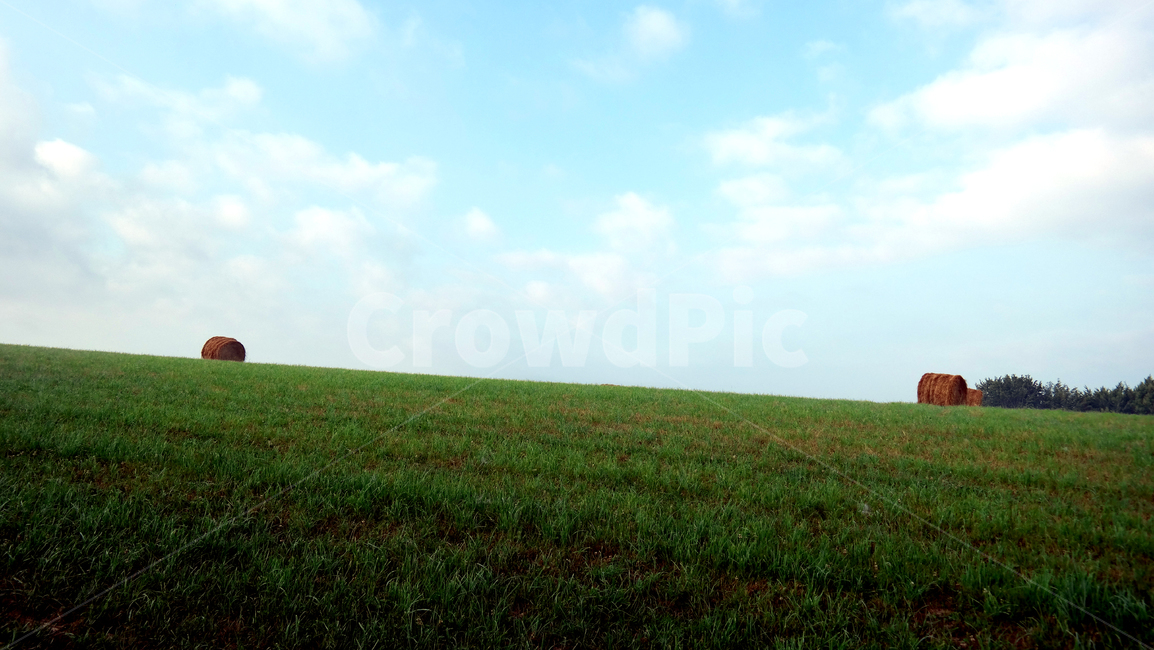 스페인,순례길,산티아고순례길,길거리,자연,camino,caminodesantiago,santiago,buencamino,자연,풍경,nature,landscape,field,들