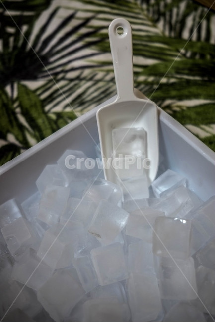 얼음,시원한,냉동,ice,각얼음,차가운,여름,계절,summer,season