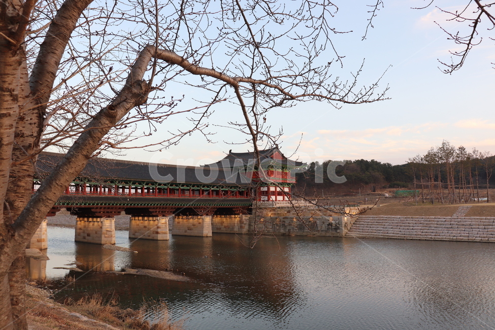 경주,월정교,원효의길,원효대사,내천,나무,하늘,한국적인,다리,한국전통,한국문화,korean traditional,korean culture,랜드마크,landmark,tourist attraction,한국랜드마크,한국관광지,한국명소,korea landmark,korea tourist attraction,건축물,건물외관,exterior,building,structure,architecture,construction