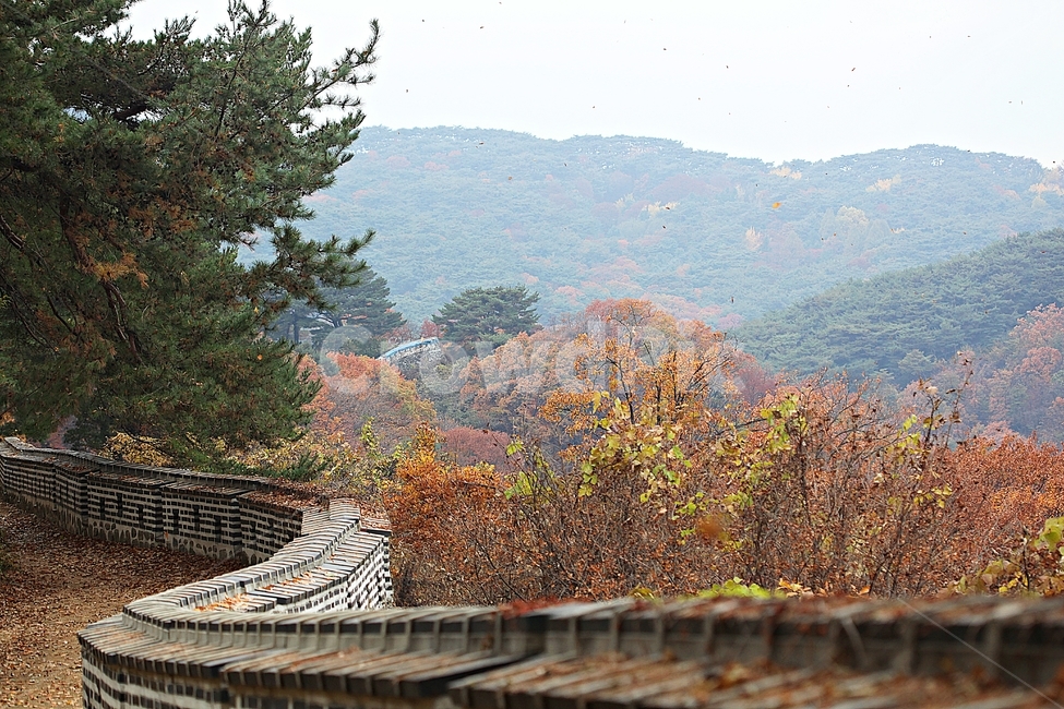 남한산성,성,성곽,단풍,낙엽,길,둘레길,숲,숲길,담,돌담,가을,자연,풍경,벽,울긋불긋,산성,식물,가을,계절,fall,autumn,season