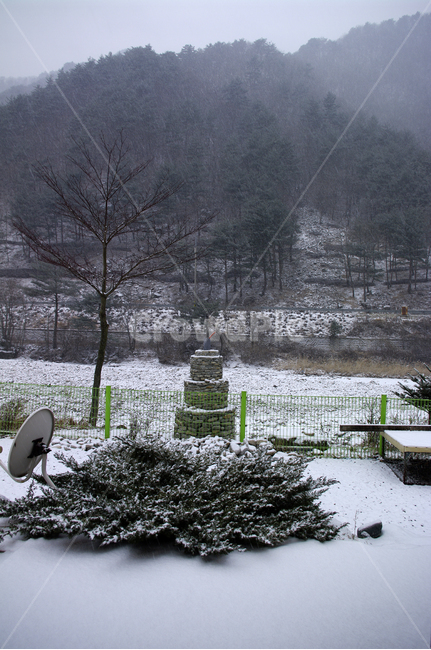 겨울,나무,풍경,산,눈,겨울,계절,winter,season