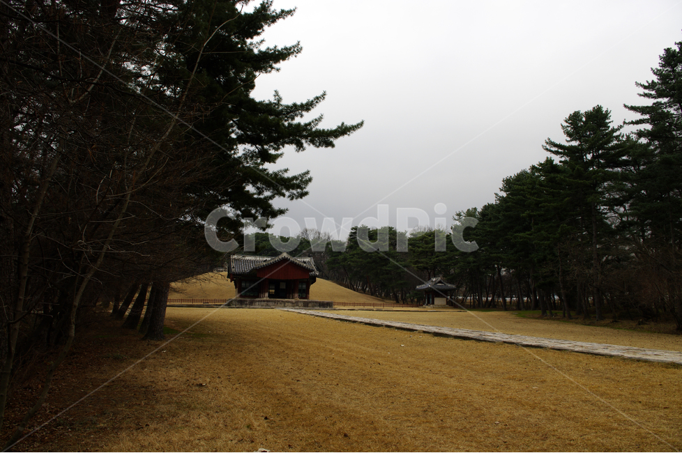 희릉,한국,세계문화유산,유네스코,릉,문화유산,전통,한국전통,한국문화,korean traditional,korean culture,랜드마크,landmark,tourist attraction,한국랜드마크,한국관광지,한국명소,korea landmark,korea tourist attraction
