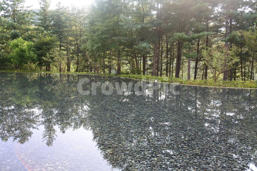 water,물,outdoors,nature,옥외,나무,wood,자연,돌,돌멩이,풀