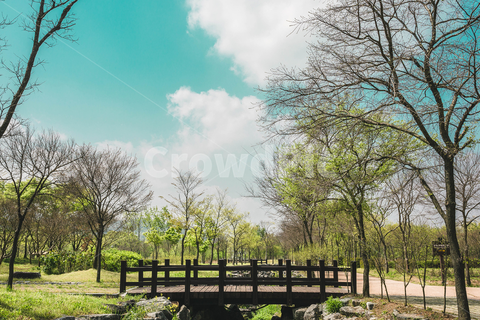 공원,다리,하늘,산책,호수공원,조경,자연,풍경,nature,landscape,outdoors,옥외,water,물