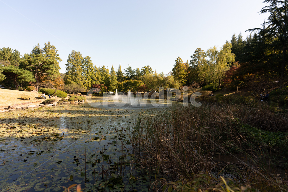 포항,지곡,영일대,자연,호수,자연,풍경,nature,landscape