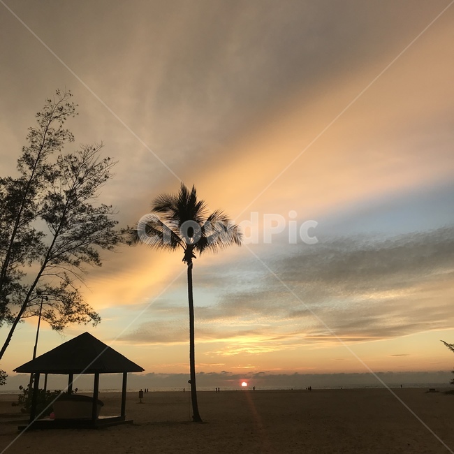 하늘,노을,야자수,sunset,sunrise