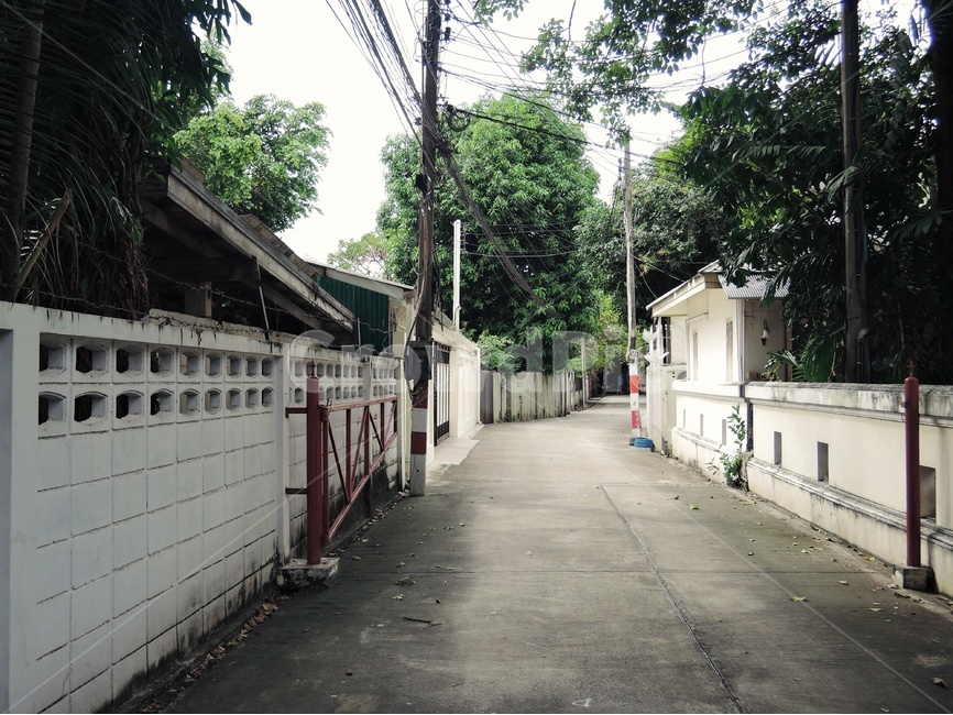 도로,길거리,풍경,거리,동네,뒷길,길,벽,벽돌,울타리,시멘트,오후,여름,시원한,나무,마을,전깃줄,전기,표지,표지판,집,시골,나뭇잎,낡은,잎파리,빈티지,오래된,올드,old,vintage,street,walk,걷다,걷기,도보,village,흐린,우울한,고요한,우울,조용,뷰,골목,골목길,골목길,alley,town,도시,road,city,시티,building,건물,urban,어반,outdoors,옥외