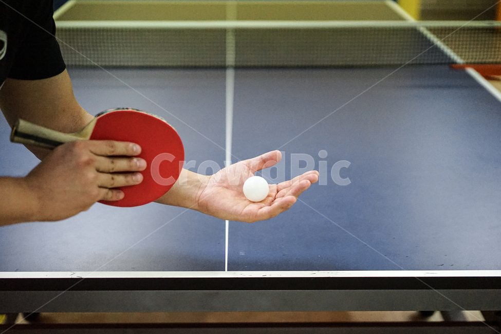 탁구,구기종목,스포츠,탁구대,탁구라켓,tabletennis,sport,pingpong,스포츠,레저,운동,sports,leisure,exercise,사물,물건,오브젝트,thing,object,matter