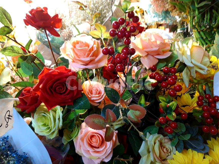 꽃,꽃다발,선물,축하,알록달록,열매,빨간,빨강,분홍,식물,자연,꽃가게,flower,flowermarket,plants,nature,bouquet,presents,congratulation,mottled,식물,자연,plants,nature,꽃,flower
