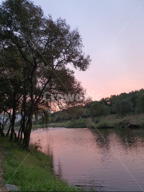 강,나무,풍경,따뜻,가을,물,outdoors,자연,풍경,nature,landscape,tree,plant,식물