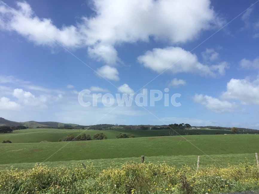 호주,풍경,시골,맑음,해외,자연,풍경,nature,landscape,grassland,목초지,outdoors,옥외,field,들,farm,농장,rural,농촌,meadow