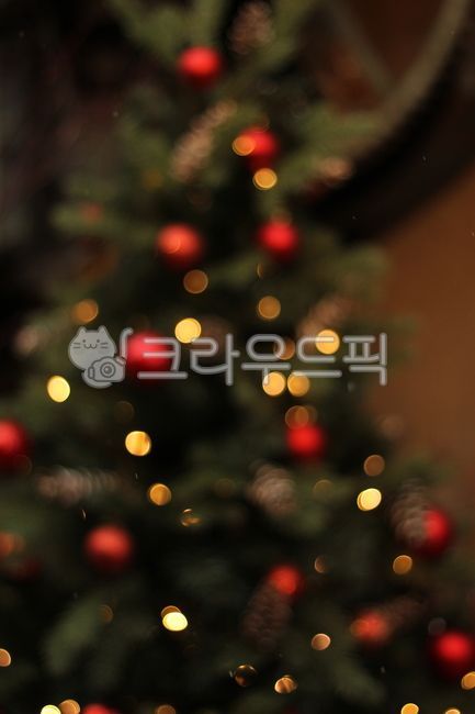 겨울,크리스마스,크리스마스이미지,lighting,christmasimage,winterimage
