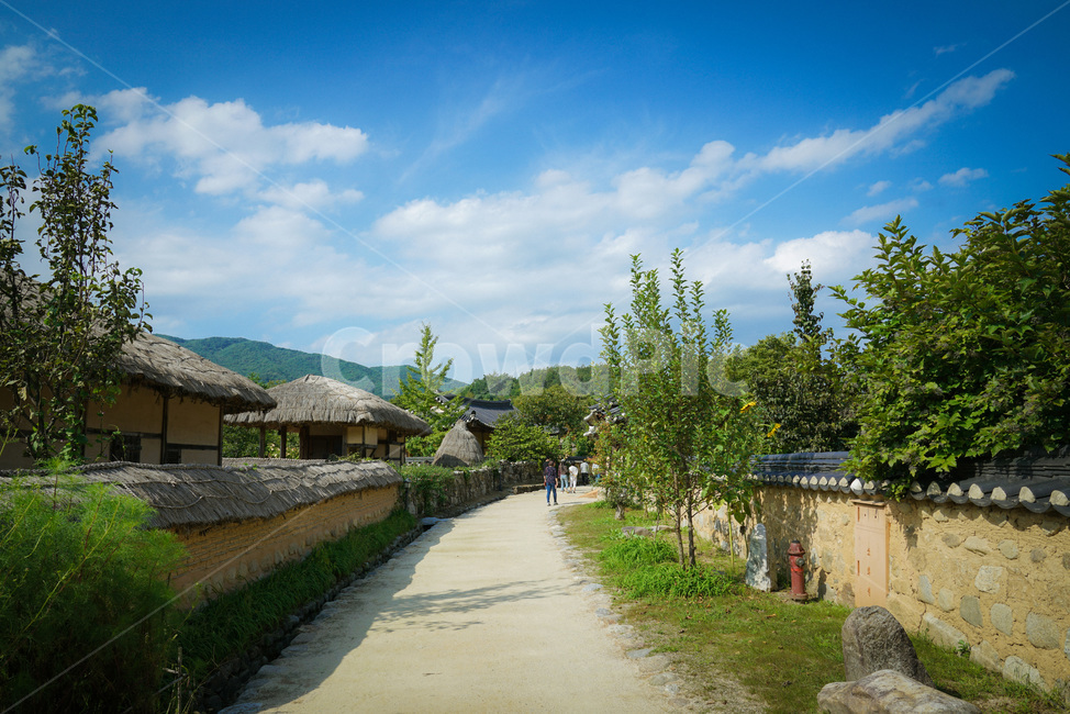 배경,풍경,한옥,초가집,조선,한국,영주,선비촌,전통
