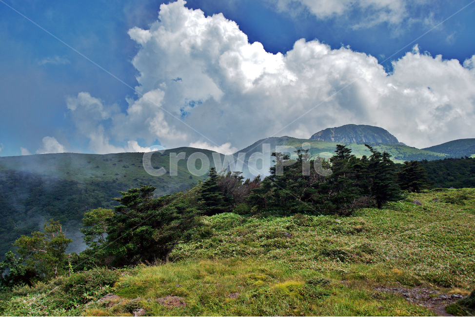 한라산,제주도,영산,어리목코스,만세동산,자연,구름,운무,백록담
