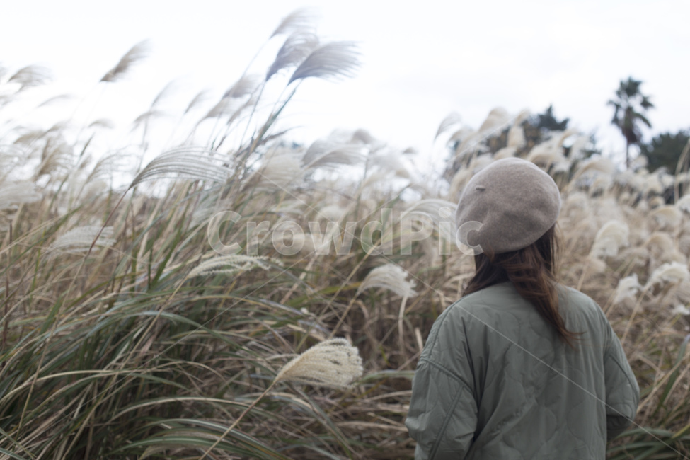 갈대,억새,자연,식물,가을,사람,뒷모습,가을,계절,fall,autumn,season,사람,인물,인간,human,person,여성,여자,woman,female,lady
