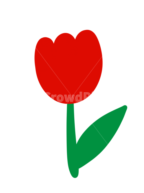 튤립일러스트,튤립,튤립그림,튤립손그림,tulip,tulipillust,tulipillustration,누끼,remove background