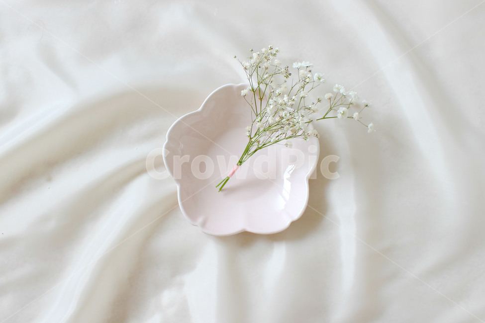 접시,꽃,안개꽃,분홍,감성사진,그릇,분홍색,하얀색,pink,white,flower,flowers,꽃,flower,연출,컨셉,콘셉,direction,concept